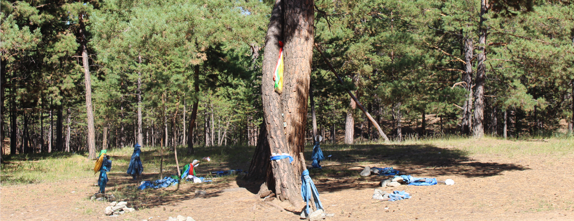 Дурлалын мод